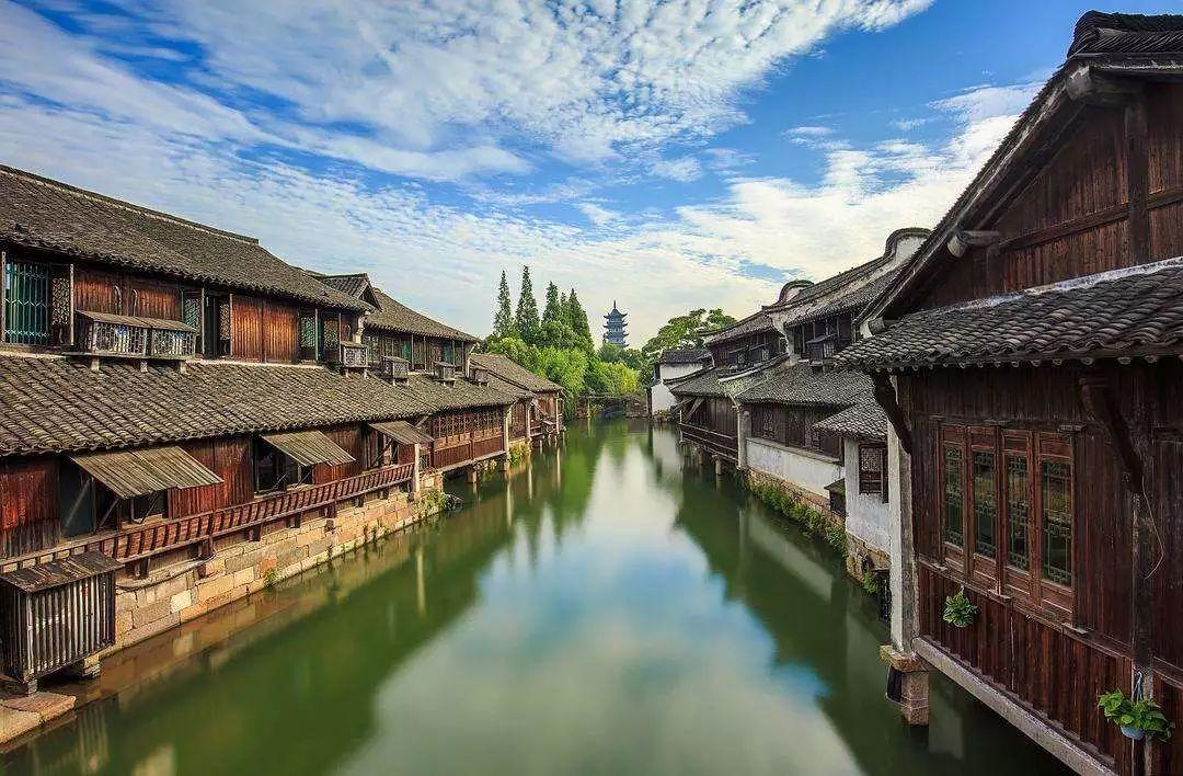 救援白虎